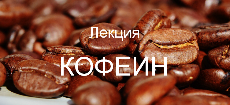 [Валерий Подрубаев] [humberto 2.0] Кофеин (2025)_0.png